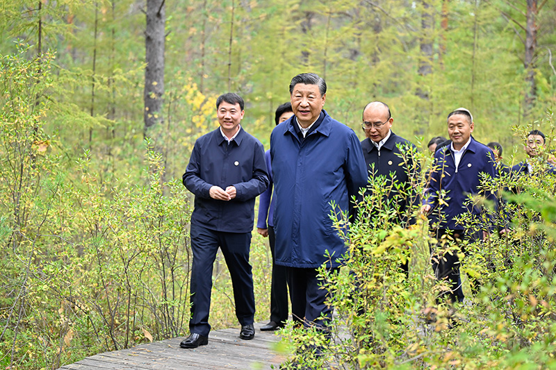 9月6日至8日，中共中央總書記、國(guó)家主席、中央軍委主席習(xí)近平在黑龍江考察。這是6日下午，習(xí)近平在大興安嶺地區(qū)漠河市漠河林場(chǎng)自然林區(qū)考察